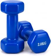 Набор гантелей Feel Fit DT295 с виниловым покрытием 2х2 кг синий