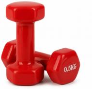 Набор гантелей Feel Fit DT290 с виниловым покрытием 2х0,5 кг красный