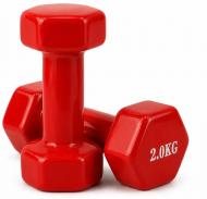 Набор гантелей Feel Fit DT296 с виниловым покрытием 2х2 кг красный