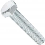 Болт метричний 12х60 мм ЦБ DIN 933 12x60 мм 1 кг клас міцності 5,8 Expert Fix