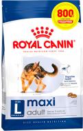Корм сухий Royal Canin Maxi Adult 3,2 кг + 800 г
