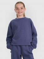 Свитшот 4F SWEATSHIRT F1936 4FJWAW25TSWSF1936-32S р.164 синий