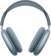 Наушники Apple AirPods Max 2 blue (MHWM4ZE/A)