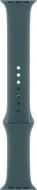 Ремешок Apple 40mm Lake Green Sport Band - M/L (MAX64ZM/A)