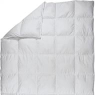 Одеяло Планта натуральная 155х215 см Billerbeck