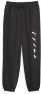 Брюки Puma PUMA X RIPNDIP SWEATPANTS TR 62219901 р. 2XL черный
