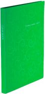 Папка с файлами Пластиковая 20 шт А4 BAROCCO салатовый Buromax BM.3607-15