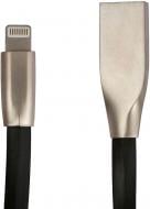 Кабель Greenwave USB – Apple Lightning 1 м черный (DC-IP-102ZR, black)