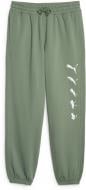 Брюки Puma PUMA X RIPNDIP SWEATPANTS TR 62219944 р. L зеленый