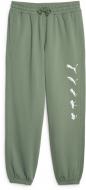 Брюки Puma PUMA X RIPNDIP SWEATPANTS TR 62219944 р. 2XL зеленый