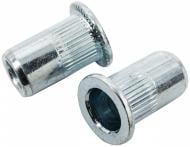 Гайка клепальная М10 2 шт с плоской головкой Expert Fix