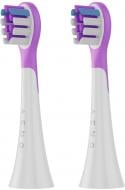 Насадки для звуковой зубной щетки AENO DB9V Violet (ADBTH9V)