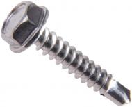 Саморез по металлу 4,8x16 мм 10 шт N9T64816bp Expert Fix