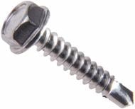 Саморіз по металу 4,8x19 мм 10 шт N9T64819bp Expert Fix