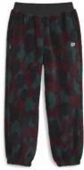 Штани Puma DOWNTOWN AOP SHERPA PANTS 62224122 р. L різнокольоровий