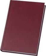 Дневник недатированный Megara бордо линия Economix A5 E21719-18