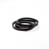 Ремень клиновый Excellent зубчатый В-1600