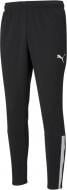 Брюки Puma TEAMLIGA TRAINING PANTS 65724203 р. S черный