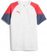 Футболка Puma individualCUP Jersey 65848153 р.S белый