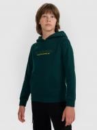 Джемпер 4F SWEATSHIRT M1959 4FJWAW25TSWSM1959-46S р.152 зеленый