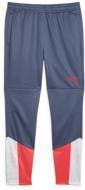 Штани Puma INDIVIDUALCUP TRAINING PANTS 65848753 р. 2XL сірий