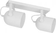 ВИТРИНА! Спот TK Lighting Spectra 2x60 Вт Е27 белый 2604