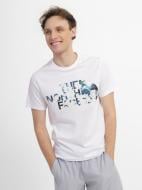 Футболка THE NORTH FACE M STANDARD SS TEE NF0A4M7XIW91 р.S білий