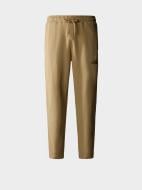 Брюки THE NORTH FACE M STANDARD PANT NF0A4M7LLK51 р. XL бежевый