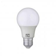 Лампа светодиодная HOROZ ELECTRIC PREMIER-12 12 Вт A60 E27 220 В 6400 К 001-006-0012-013
