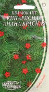 Насіння Насіння України квамокліт Кипарисна ліана 0,5 г