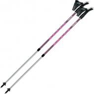 Палки для скандинавской ходьбы Gabel Ritmo Fucsia (7008350770000) DAS303054