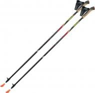 Палиці для скандинавської ходьби Gabel FX-75 Snake Carbon 115 Dual Spike (7008351011150) DAS302081