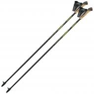 Палиці для скандинавської ходьби Gabel FX-75 Snake Carbon 125 (7008351011250) DAS301685