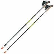 Палиці для скандинавської ходьби Gabel X-5 Black/Yellow 115 (7008351131150) DAS301830