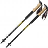 Трекинговые палки Vipole Discovery Cork DLX (S25 12) DAS303447