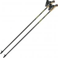 Палки для скандинавской ходьбы Gabel FX-75 Snake Carbon 130 Dual Spike (7009351011300) DAS303325