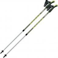 Палки для скандинавской ходьбы Gabel Ritmo Green (7008350760000) DAS303056