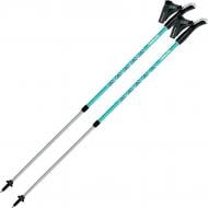 Палки для скандинавской ходьбы Gabel Ritmo Teal (7008350750000) DAS303055