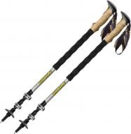 Трекинговые палки Vipole Creek Cork DLX (S25 04) DAS303438