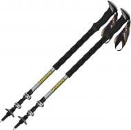 Трекинговые палки Vipole Creek DLX (S25 05) DAS303439