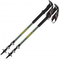 Трекинговые палки Vipole Base Camp Green DLX (S25 07) DAS303441