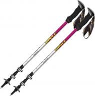 Трекинговые палки Vipole Trekker Violet (S25 11) DAS303452