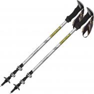 Трекинговые палки Vipole Super HSA AS DLX (S25 17) DAS303449