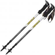 Трекинговые палки Vipole Wilderness AS (S25 19) DAS303456
