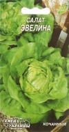 Насіння Насіння України салат Евеліна 1 г (4820069491399) Насіння Насіння України салат Евеліна 1 г (4820069491399)