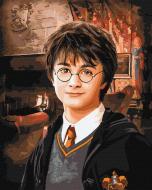 Картина по номерам Harry Potter: Гостиная Гриффиндора ©Warner Bros 40х50 см Ideyka