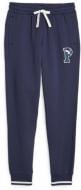 Брюки Puma PUMA SQUAD SWEATPANTS FL CL 67601906 р. L синий