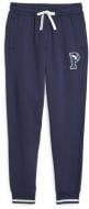 Брюки Puma PUMA SQUAD SWEATPANTS FL CL 67601906 р. S синий