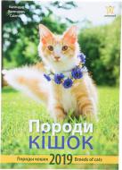 Календар «Світовид. Породи кішок. 2019» Календар «Світовид. Породи кішок. 2019»