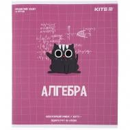 Тетрадь школьная Алгебра 48 лист. клетка K23-240-24 KITE